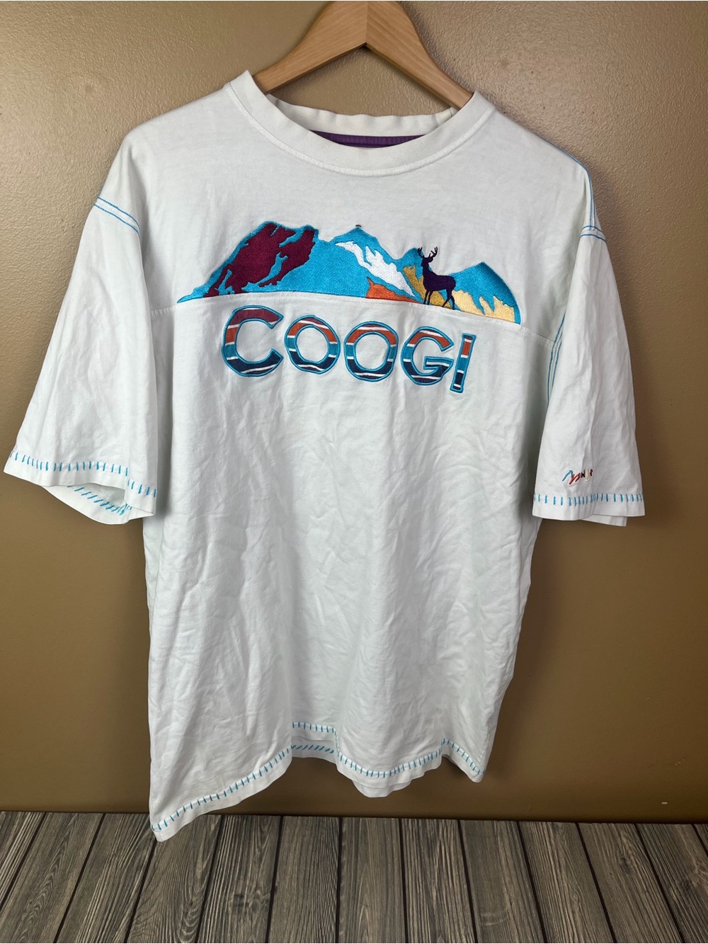 Vintage Y2K Coogi Mountainscape Graphic Tee Shirt XL